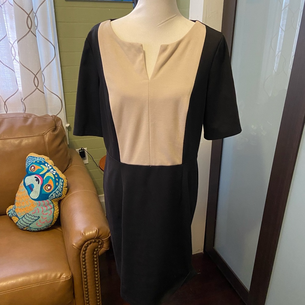 Dress Barn Black and Tan Dress